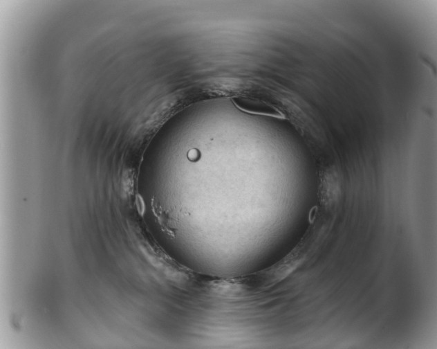 X0000102280284200808011457