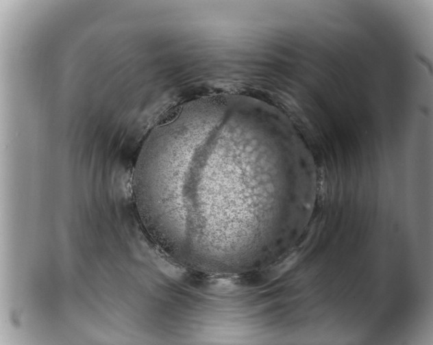 X0000102280285200808011457