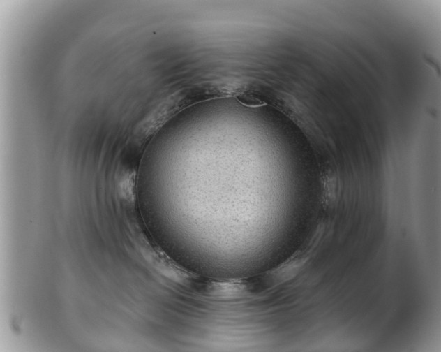 X0000102280286200808011457