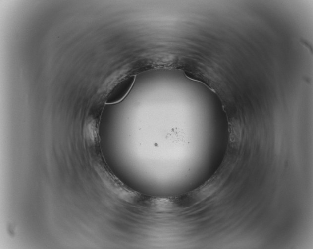 X0000102280287200808011457