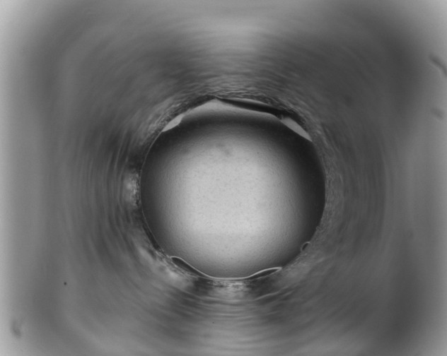 X0000102280288200808011457