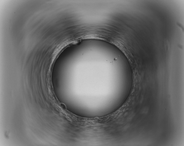 X0000102280289200808011457