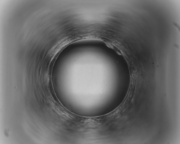 X0000102280290200808011457