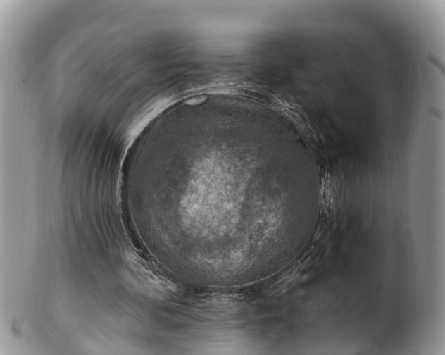 X0000102280292200808011457