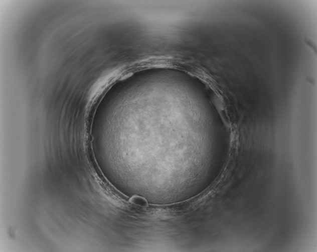 X0000102280293200808011457