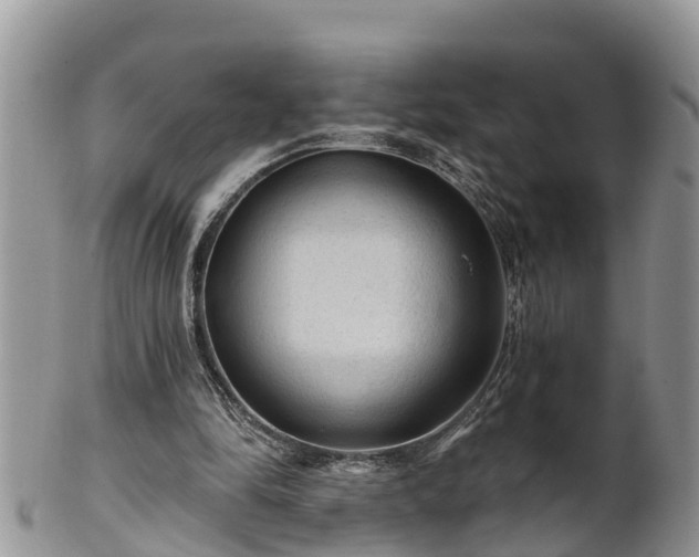 X0000102280294200808011457