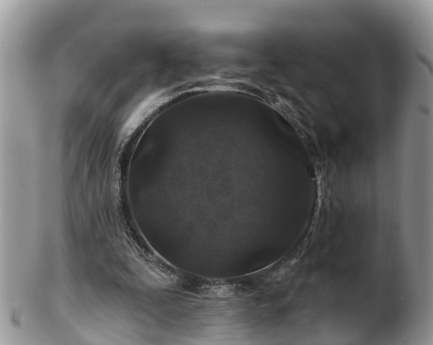 X0000102280295200808011456