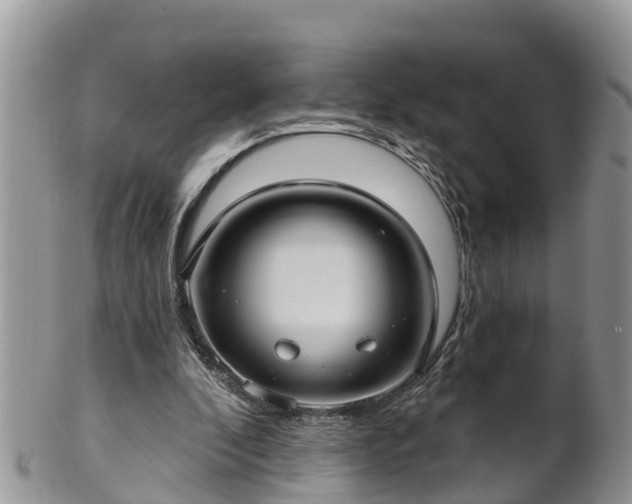 X0000102280296200808011456