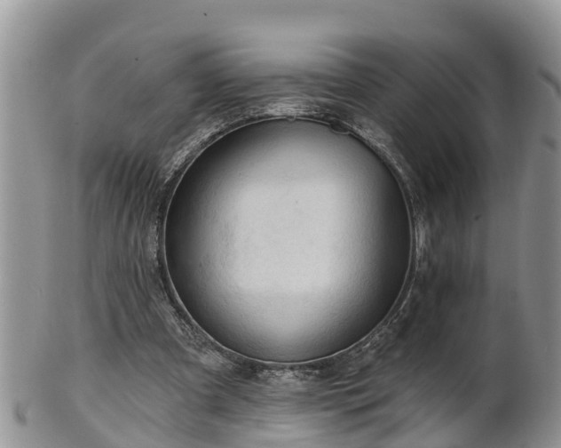 X0000102280297200808011456