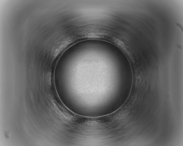 X0000102280299200808011456