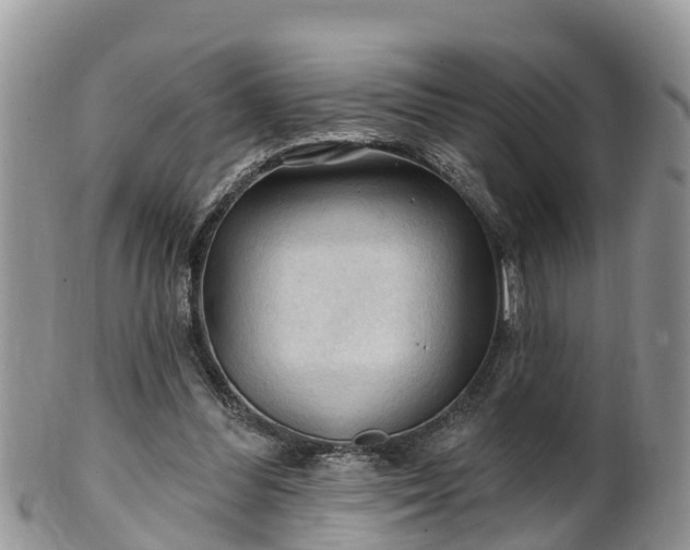 X0000102280300200808011456