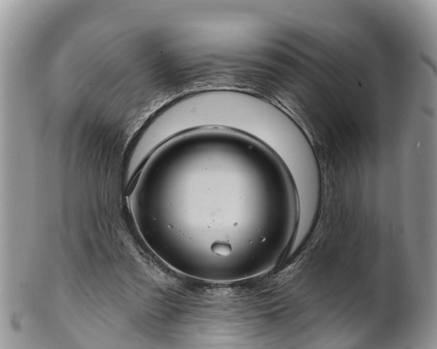 X0000102280301200808011456