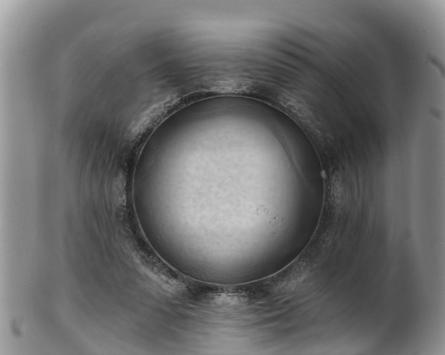 X0000102280303200808011456