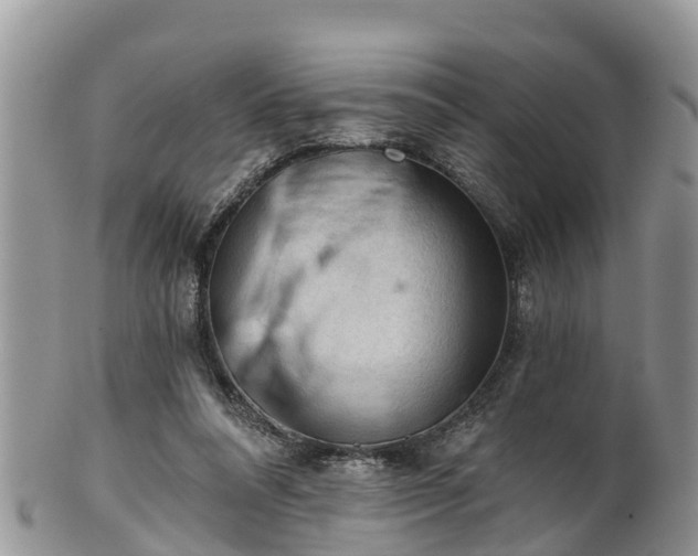 X0000102280304200808011456