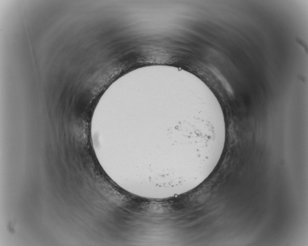 X0000102280305200808011456