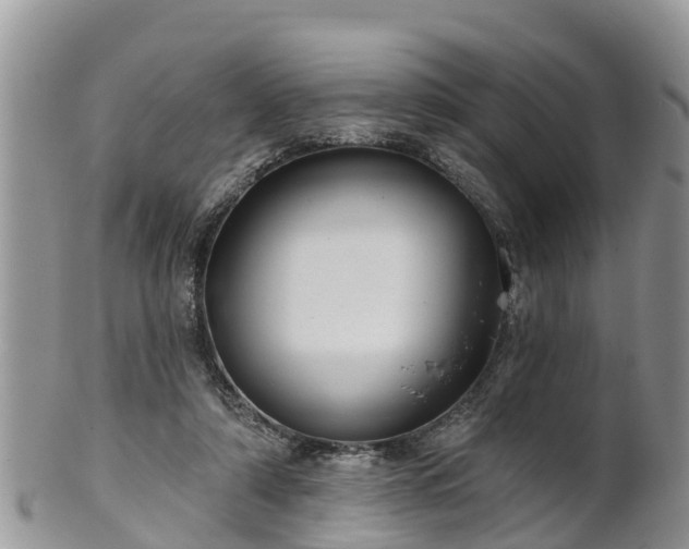 X0000102280306200808011456