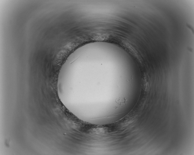 X0000102280307200808011456