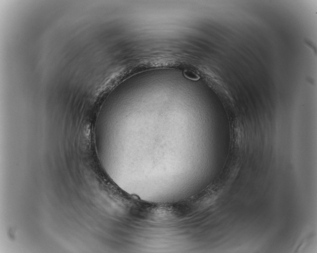 X0000102280308200808011456