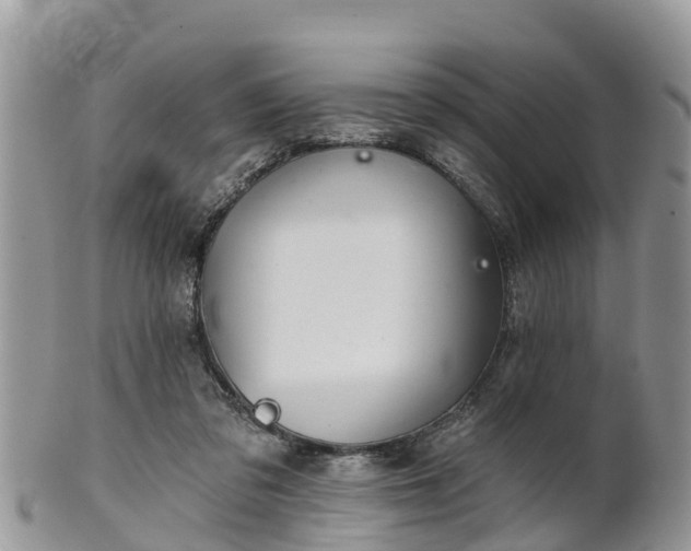 X0000102280309200808011456