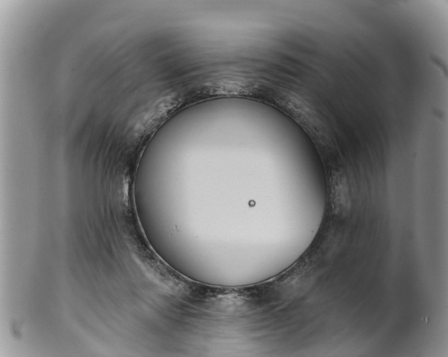 X0000102280310200808011456