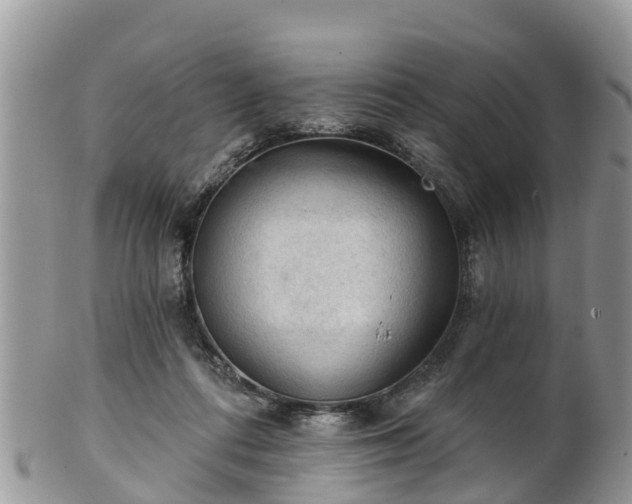 X0000102280312200808011456