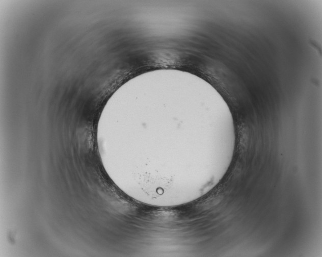 X0000102280313200808011456