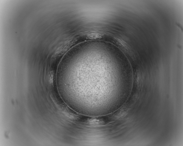 X0000102280315200808011456