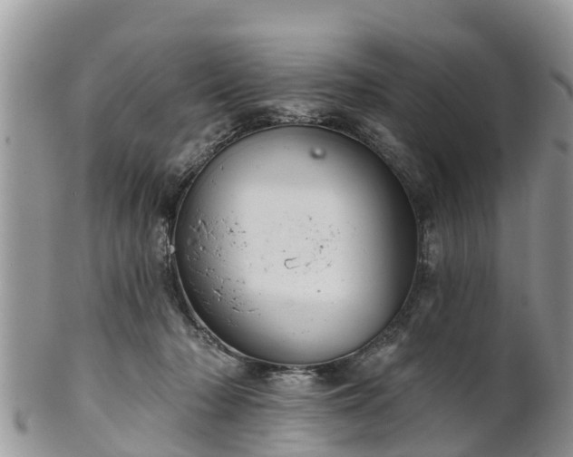 X0000102280318200808011456