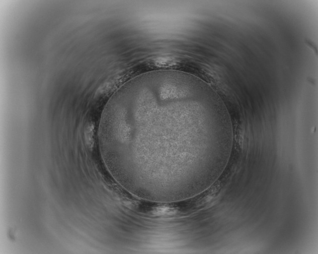 X0000102280319200808011456