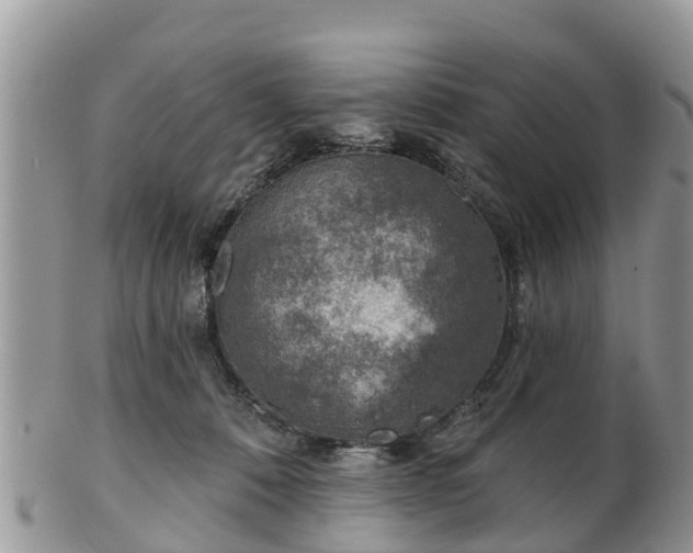 X0000102280320200808011456