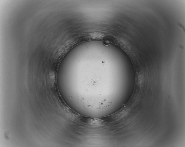 X0000102280321200808011456