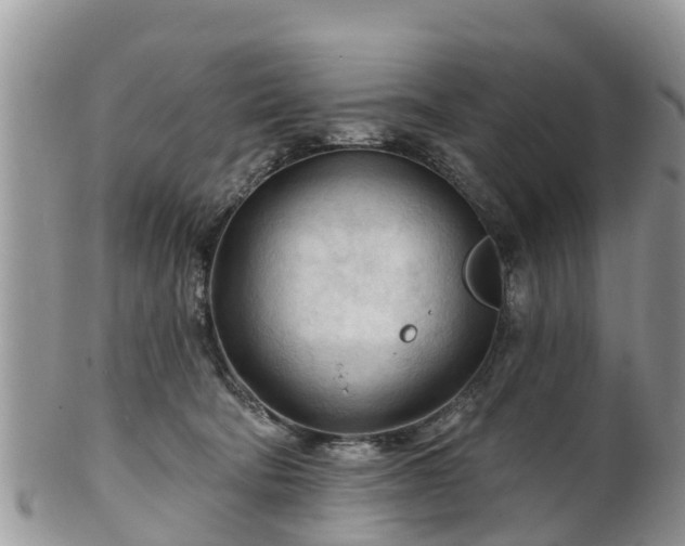 X0000102280322200808011456