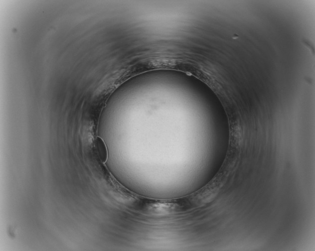 X0000102280323200808011456