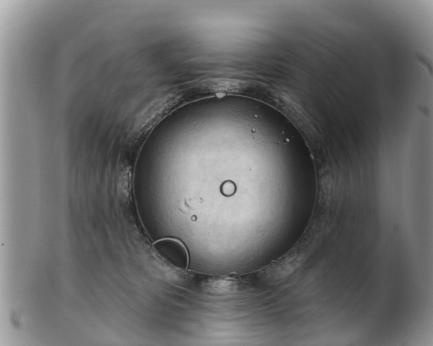 X0000102280325200808011456