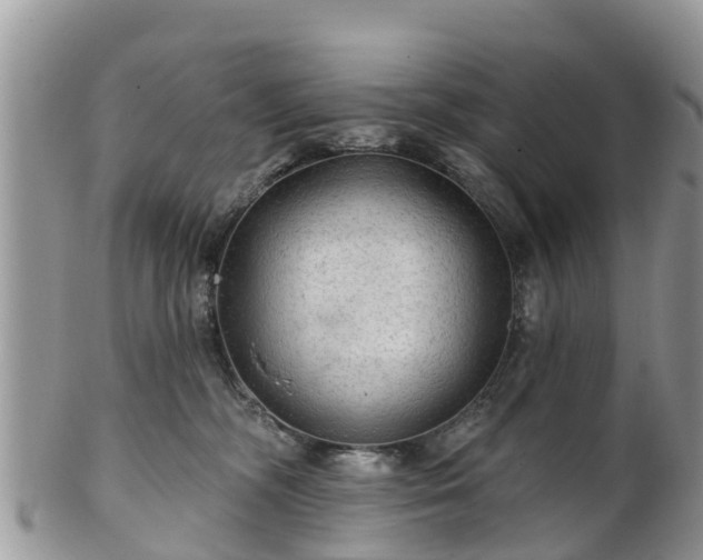 X0000102280326200808011456