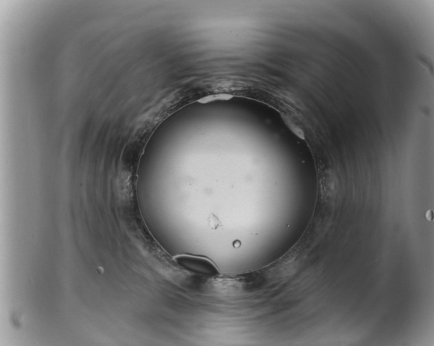 X0000102280327200808011456