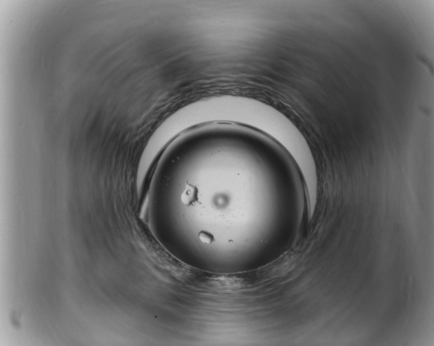 X0000102280328200808011456