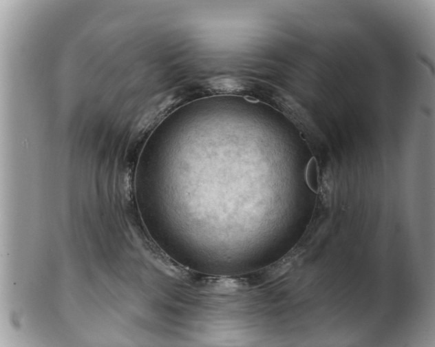 X0000102280330200808011456