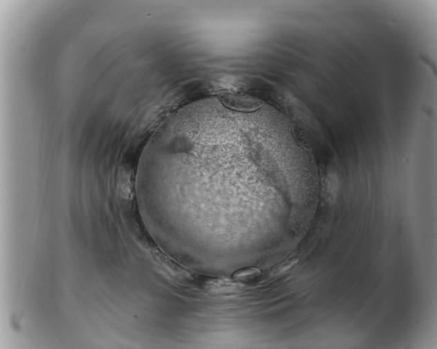 X0000102280331200808011456