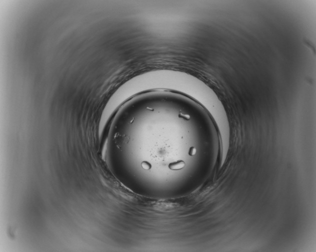 X0000102280332200808011456