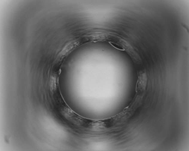 X0000102280333200808011456