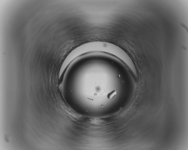 X0000102280336200808011456