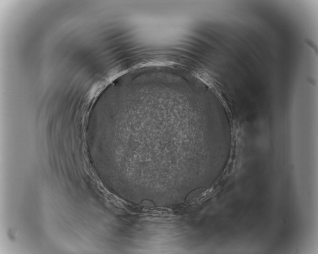 X0000102280337200808011455