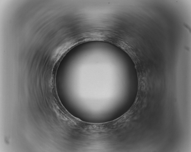 X0000102280338200808011455