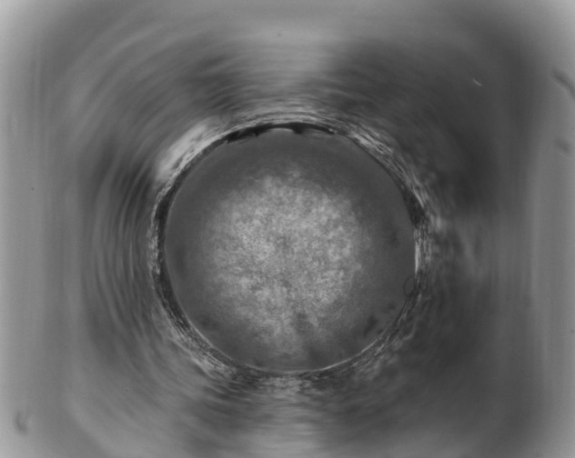 X0000102280339200808011455