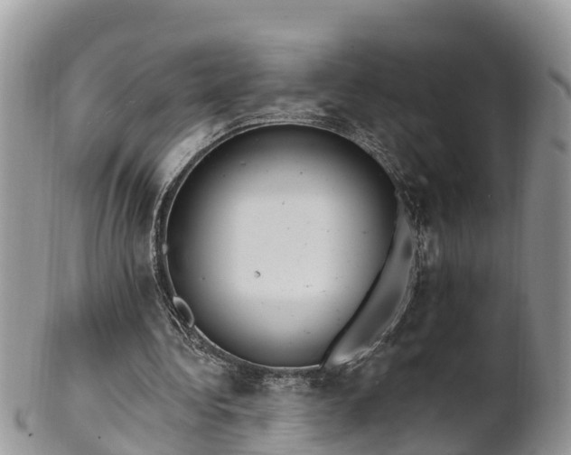 X0000102280340200808011455