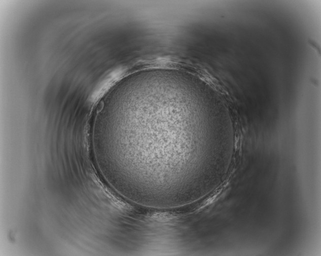 X0000102280341200808011455