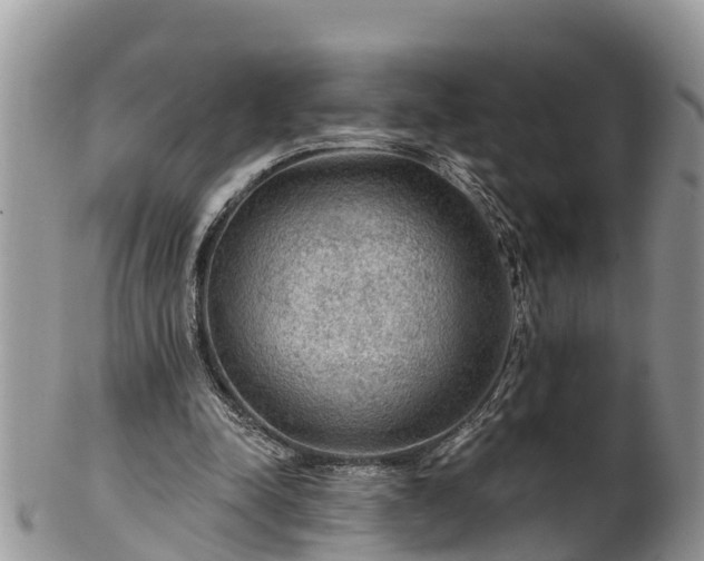 X0000102280342200808011455