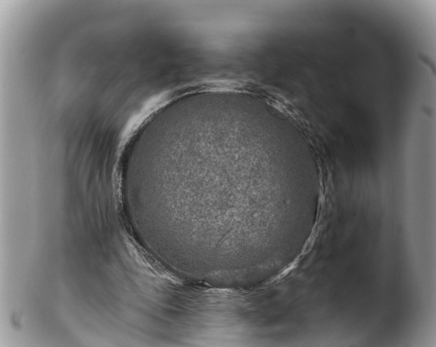 X0000102280343200808011455