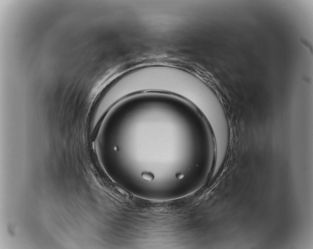 X0000102280344200808011455